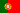 Português flag